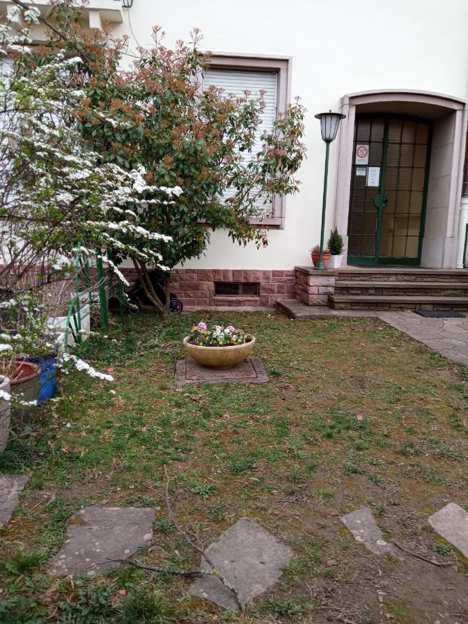 Rare à Colmar - Appartement Champ de Mars vue sur le Parc - 70m2 Extérieur photo